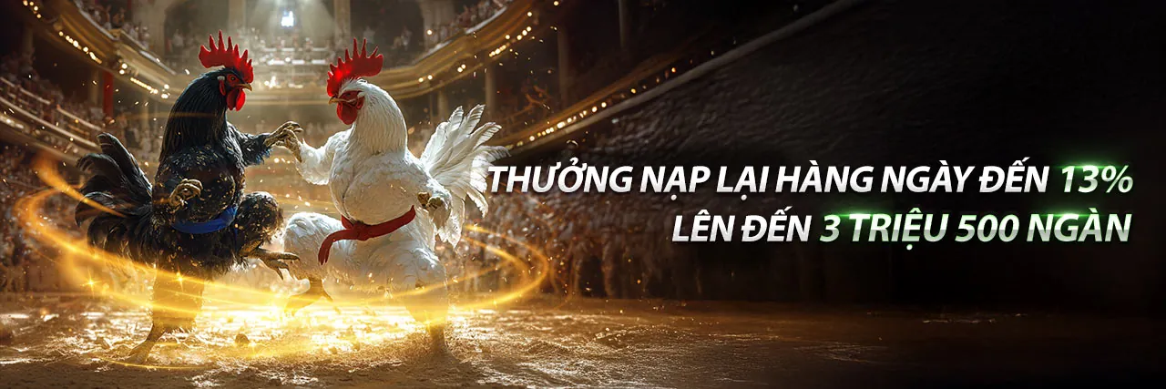 Đá gà trực tuyến Goplay07 với các trận đấu kịch tính tại Việt Nam