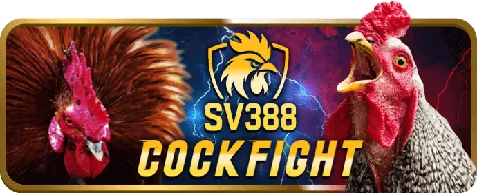 Chất lượng livestream đá gà HD tại Goplay07